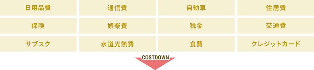 日用品費、通信費、自動車、住居費、保険、娯楽費、税金、交通費、サブスク、水道光熱費、食費、クレジットカードなどの支出が削減